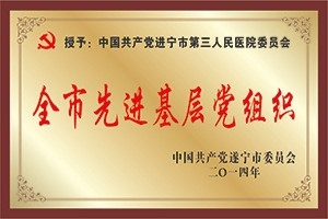 全市先进基层党组织 