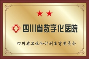 四川省数字化医院