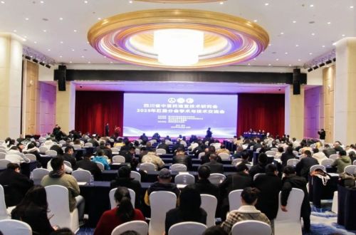 【分会动态】肛肠分会2025年学术与技术交流大会暨青委会成立大会圆满举行