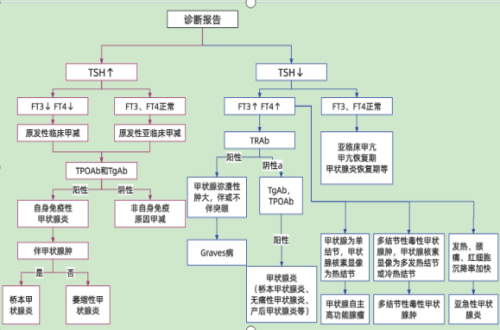 甲状腺功能检验报告怎么看？